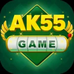 AK55 icon
