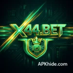 X44 bet