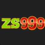 zs999