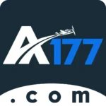a 177