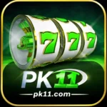 pk11